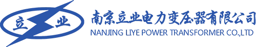 NANJING LIYE logo